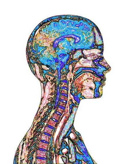 Снимки МРТ и КТ. Заболевания головы и шеи